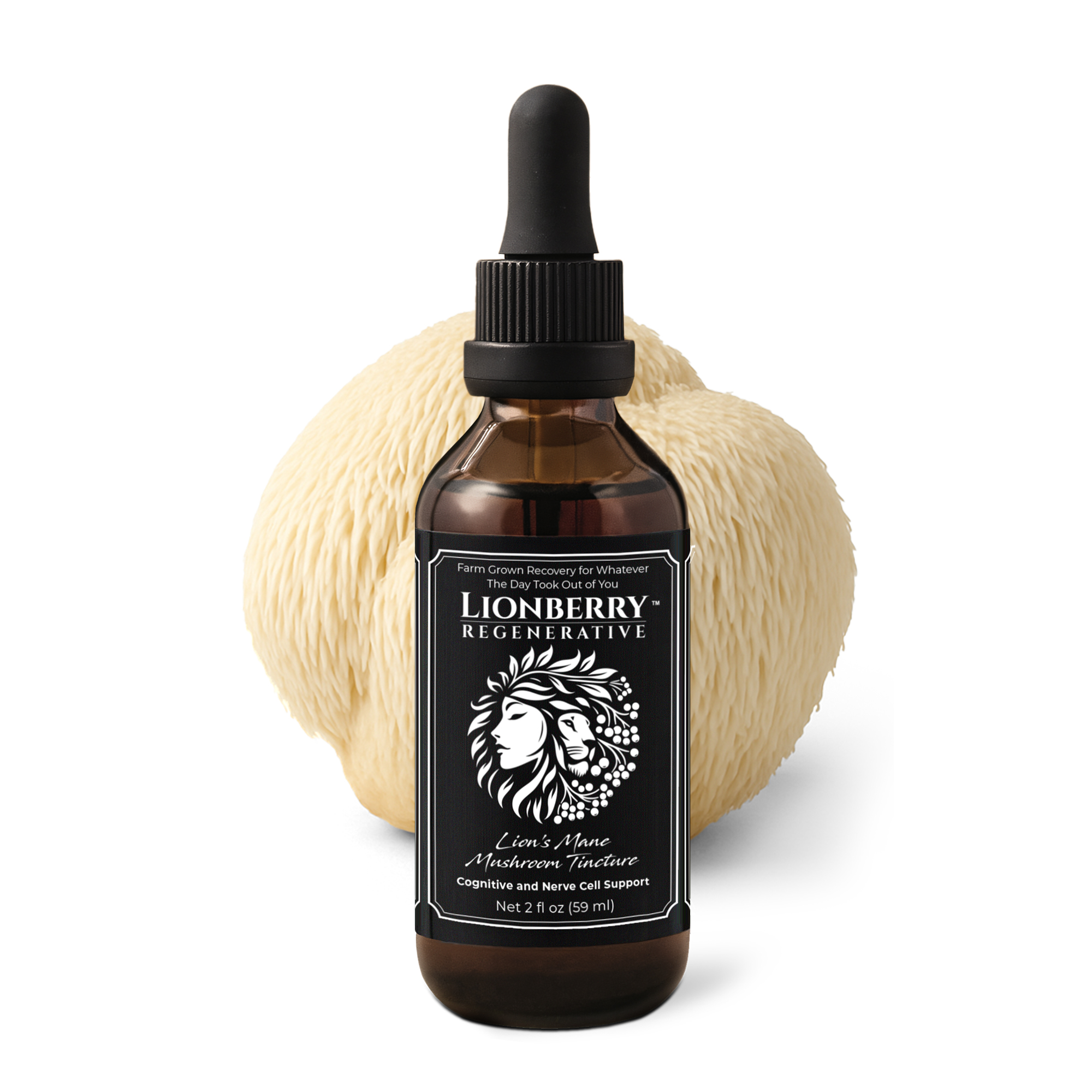 Lion's Mane Tincture